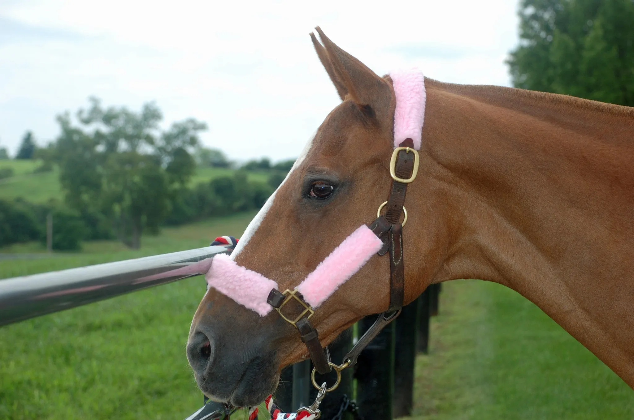 Halter Fleece Sets