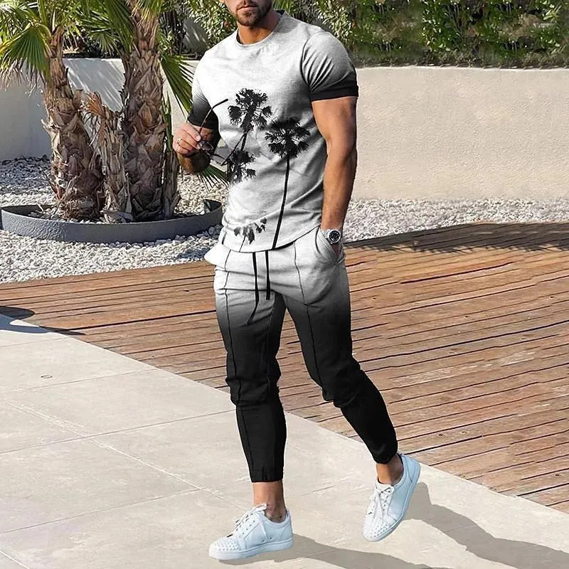 Men's 2 Pice 3D Printed Short Sleeve Tee and Sweatpants Sets 31156644YY