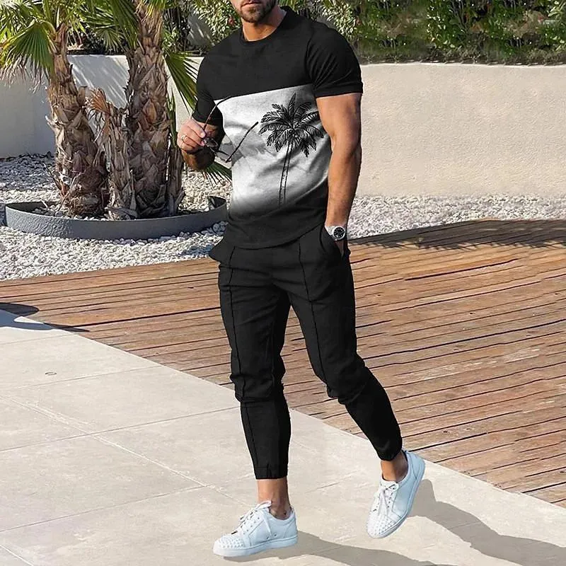 Men's 2 Pice 3D Printed Short Sleeve Tee and Sweatpants Sets 31156644YY