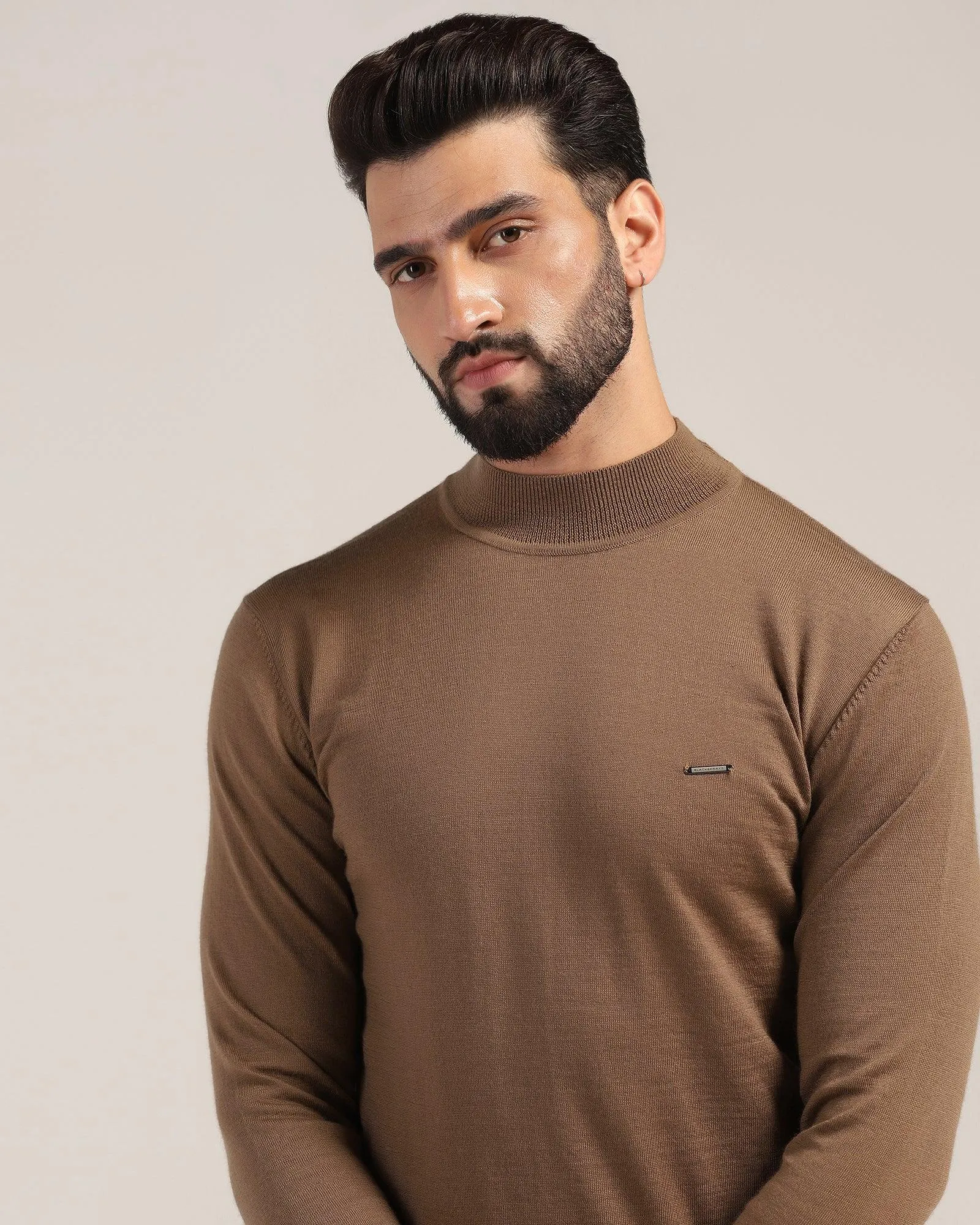 Round Neck Tobacco Brown Solid Sweater - Jester