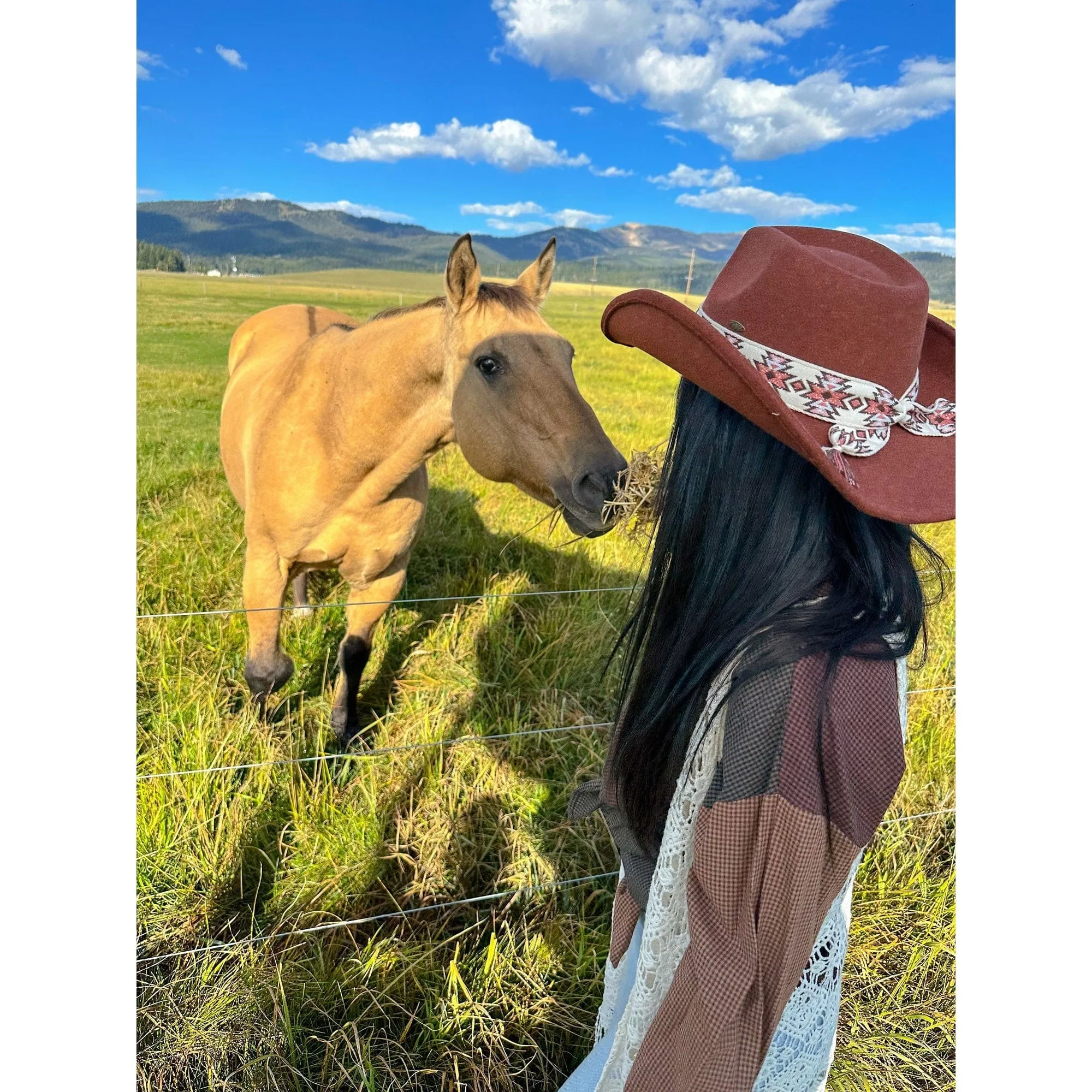 VCE0063 Fernanda Southwest Pattern Cowboy Hat